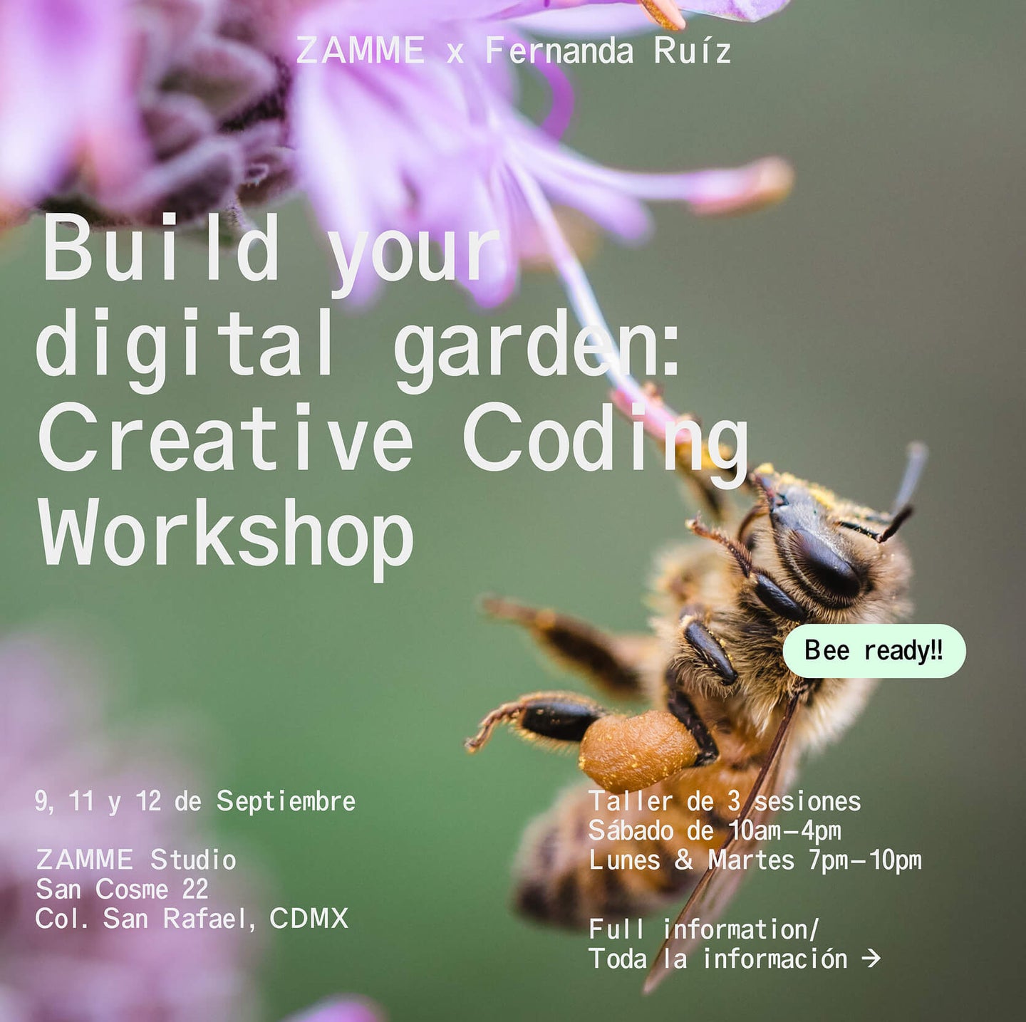 Build your digital garden: Creative Coding Workshop
