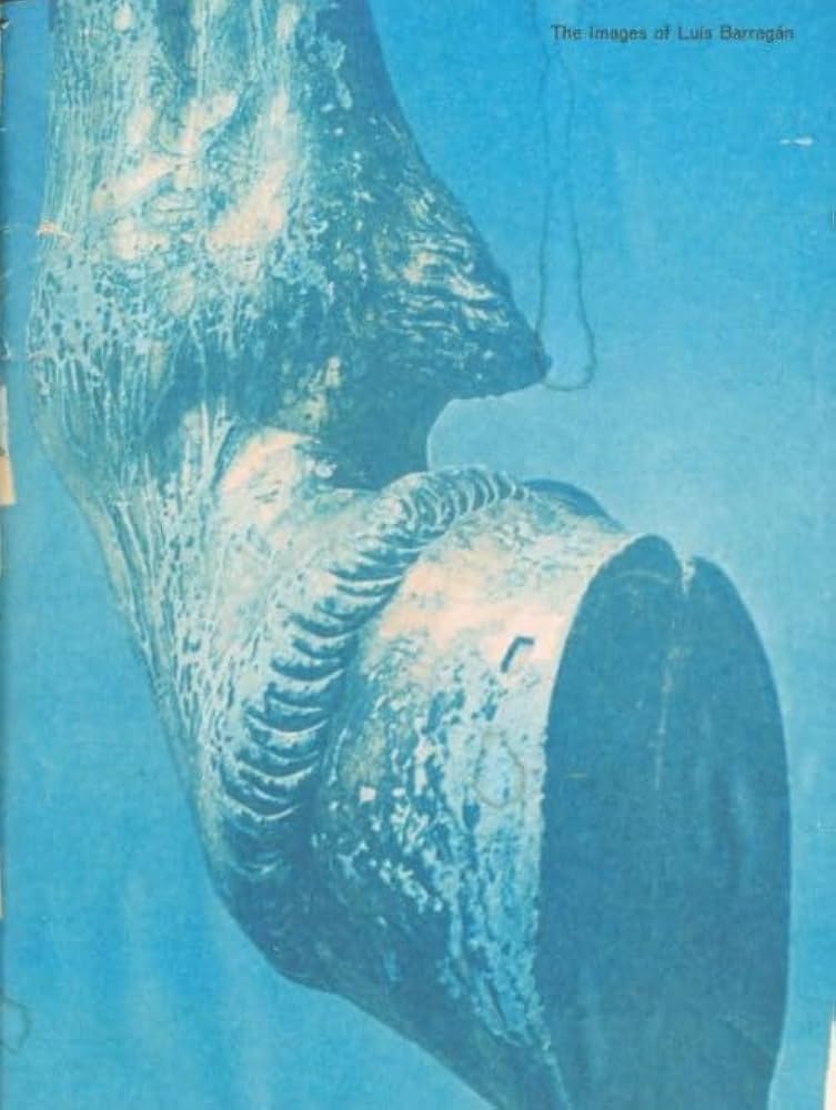 The Images of Luis Barragán