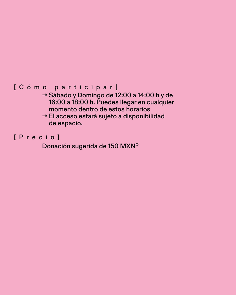 Archivos en conversación. Transformando libros, imágenes y referencias en zines autopublicados