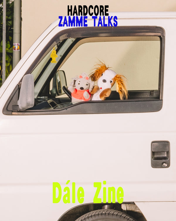Get in The Zine, Dále Zine!